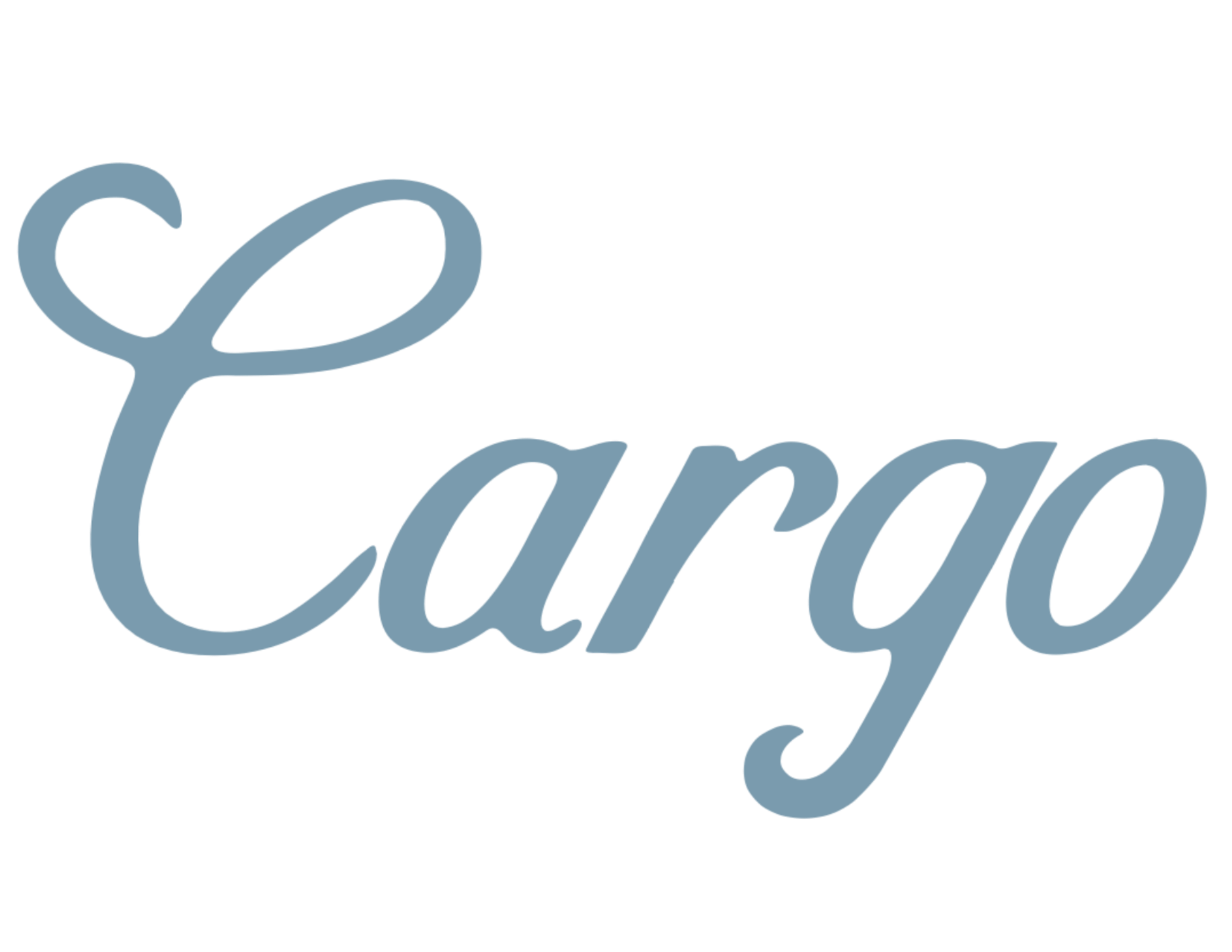 Cargo | Vintage Clothing Shop