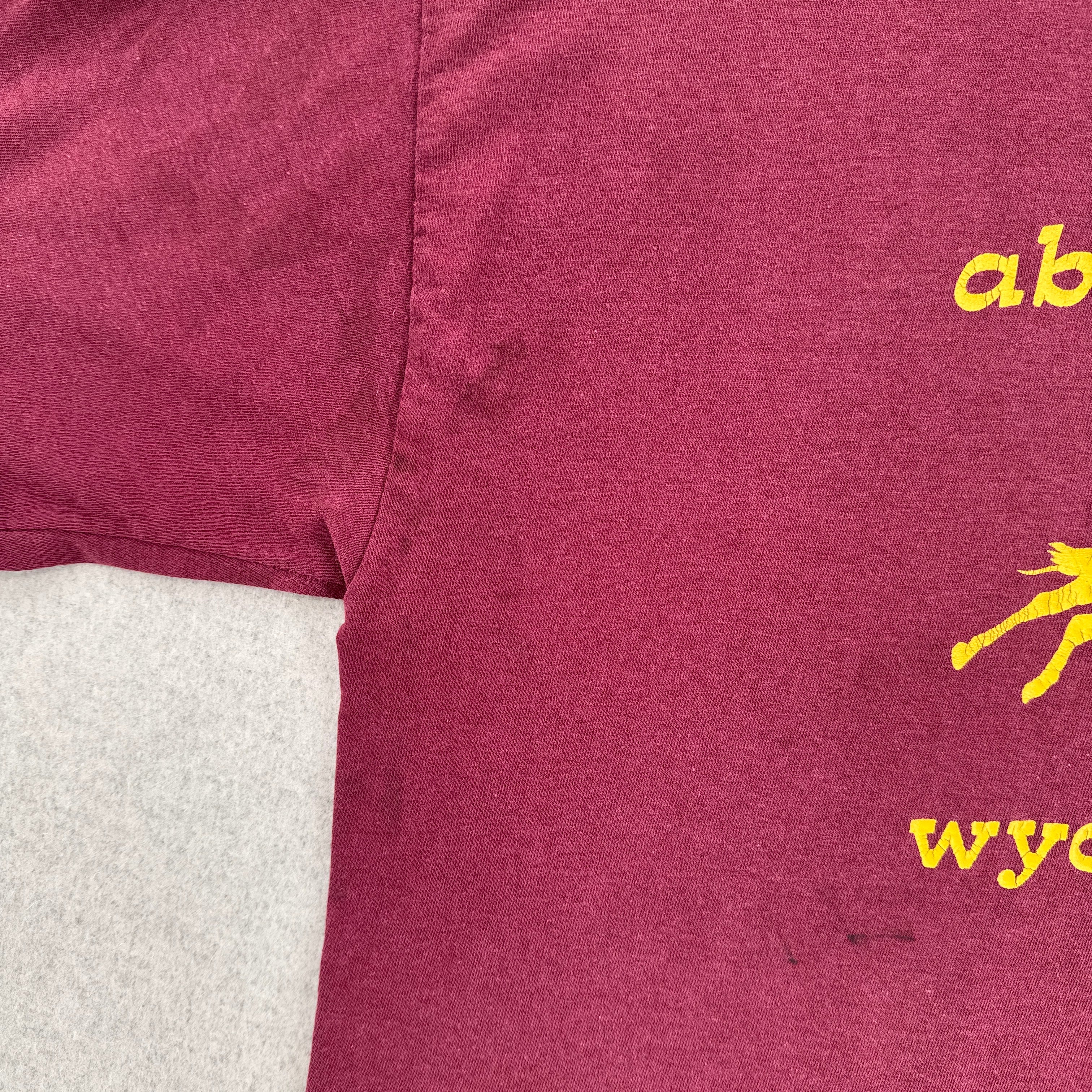Vintage 90s Wyoming Cowboy Graphic Tee