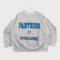 Vintage 1993 Carolina Panthers Distressed Thrashed NFL Crewneck Sweatshirt