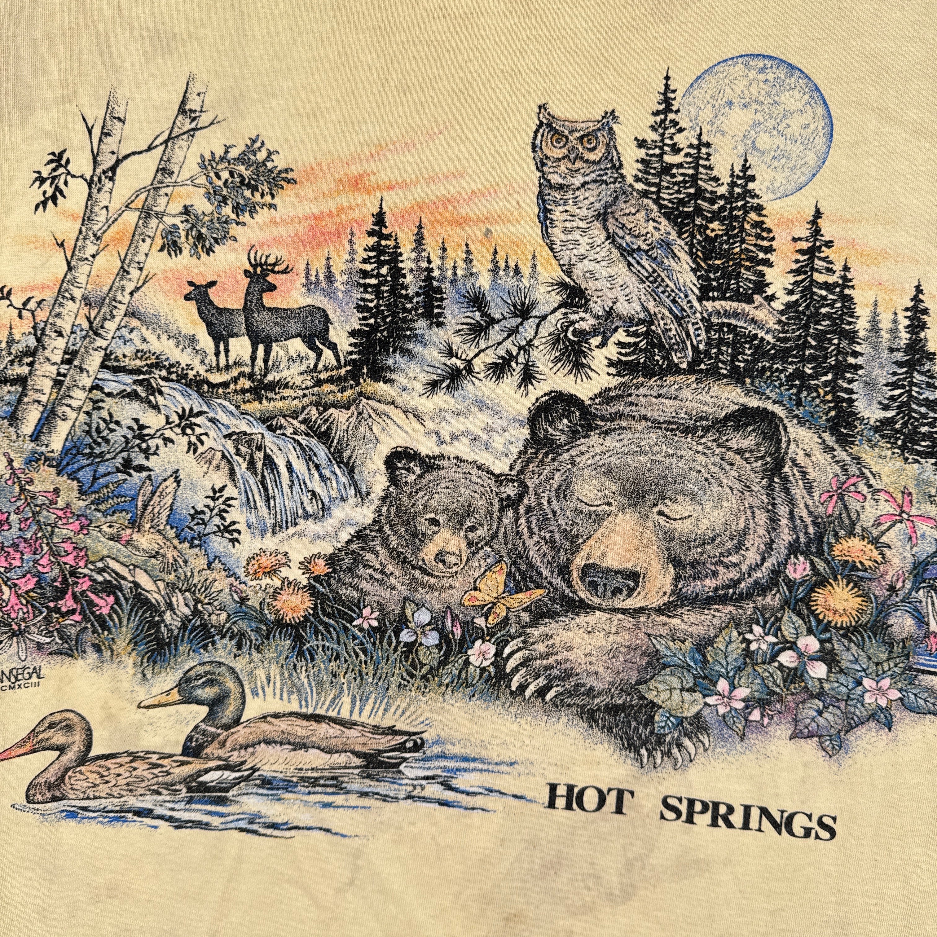 Vintage 90s Bears Nature Hot Springs Graphic Tee 