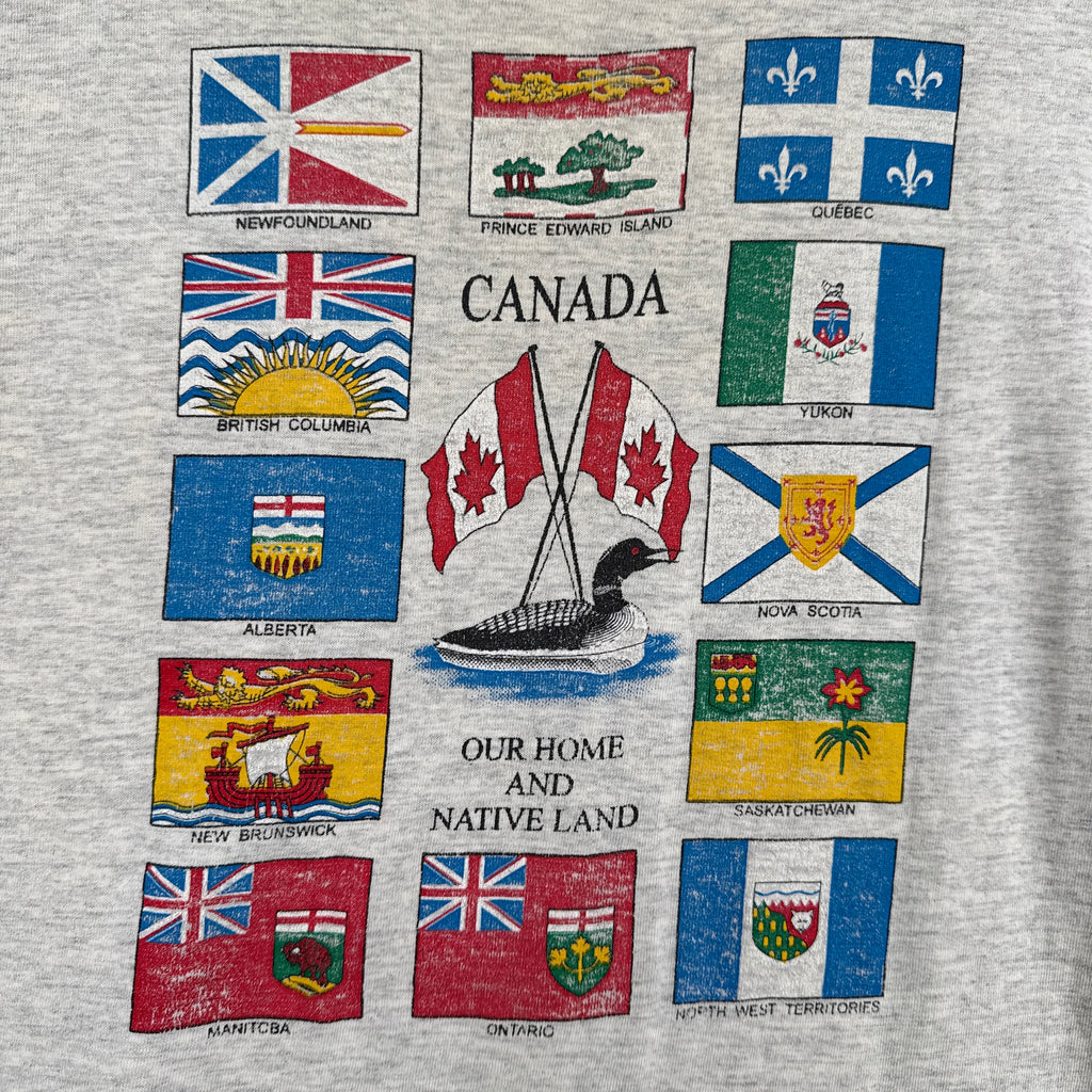 Collection of Canadian provincial and territorial flags on a textured fabric background