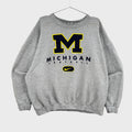 Gray sweatshirt with Michigan football logo on a gray background, Nike swoosh