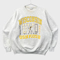Gray sweatshirt with 'Wisconsin Oshkosh Titans' text on a gray background