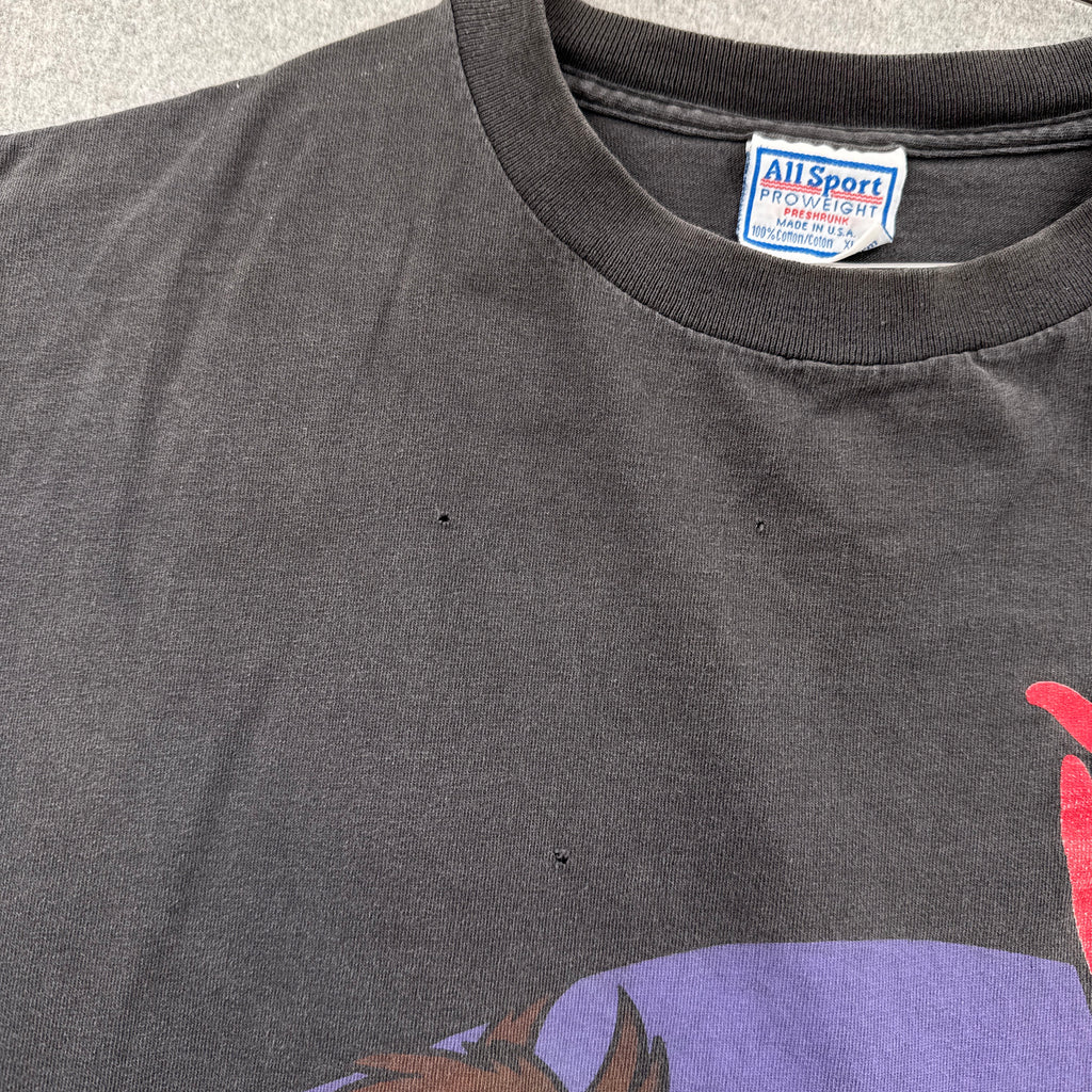 Vintage '93 Taz Tasmanian Devil Cartoon Graphic Tee 