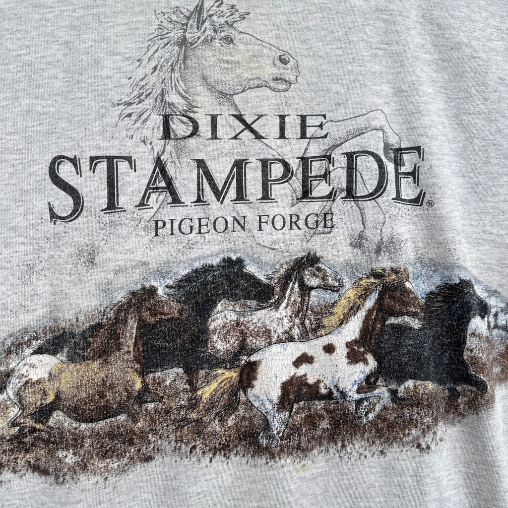 Close-up of a shirt with a horse graphic and 'Dixie Stampede Pigeon Forge' text on a textured background.