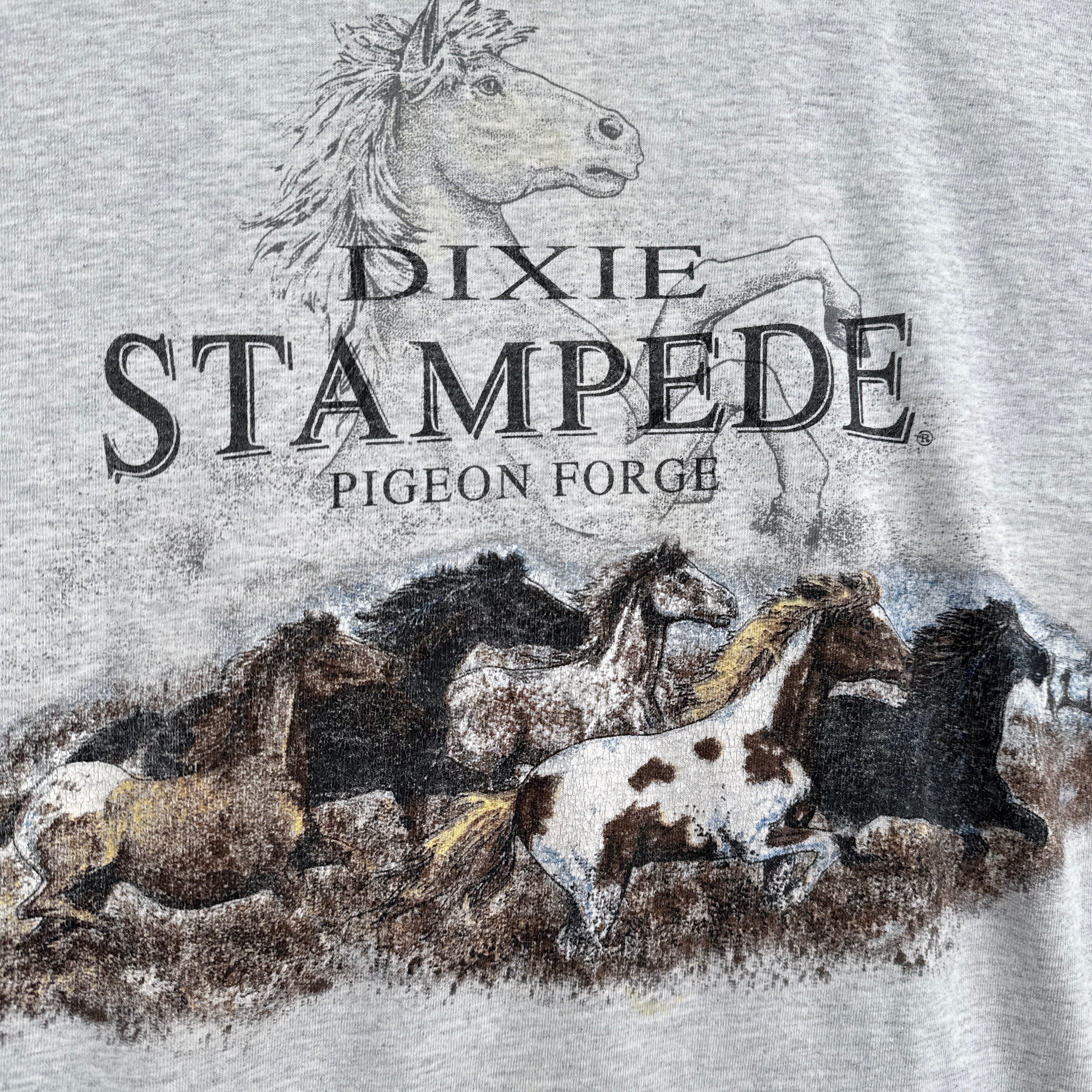 Close-up of a shirt with a horse graphic and 'Dixie Stampede Pigeon Forge' text on a textured background.