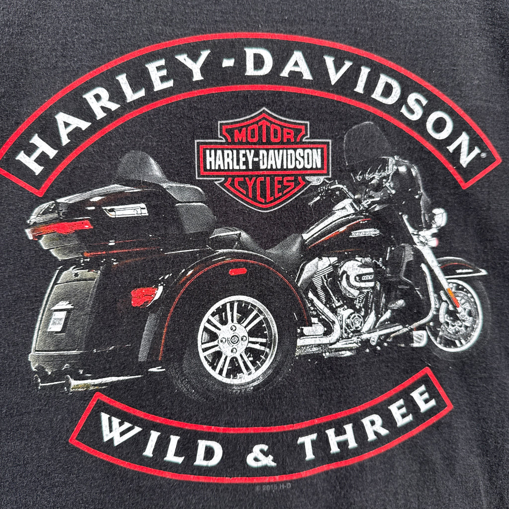 Vintage Harley Davidson Atlanta Georgia 