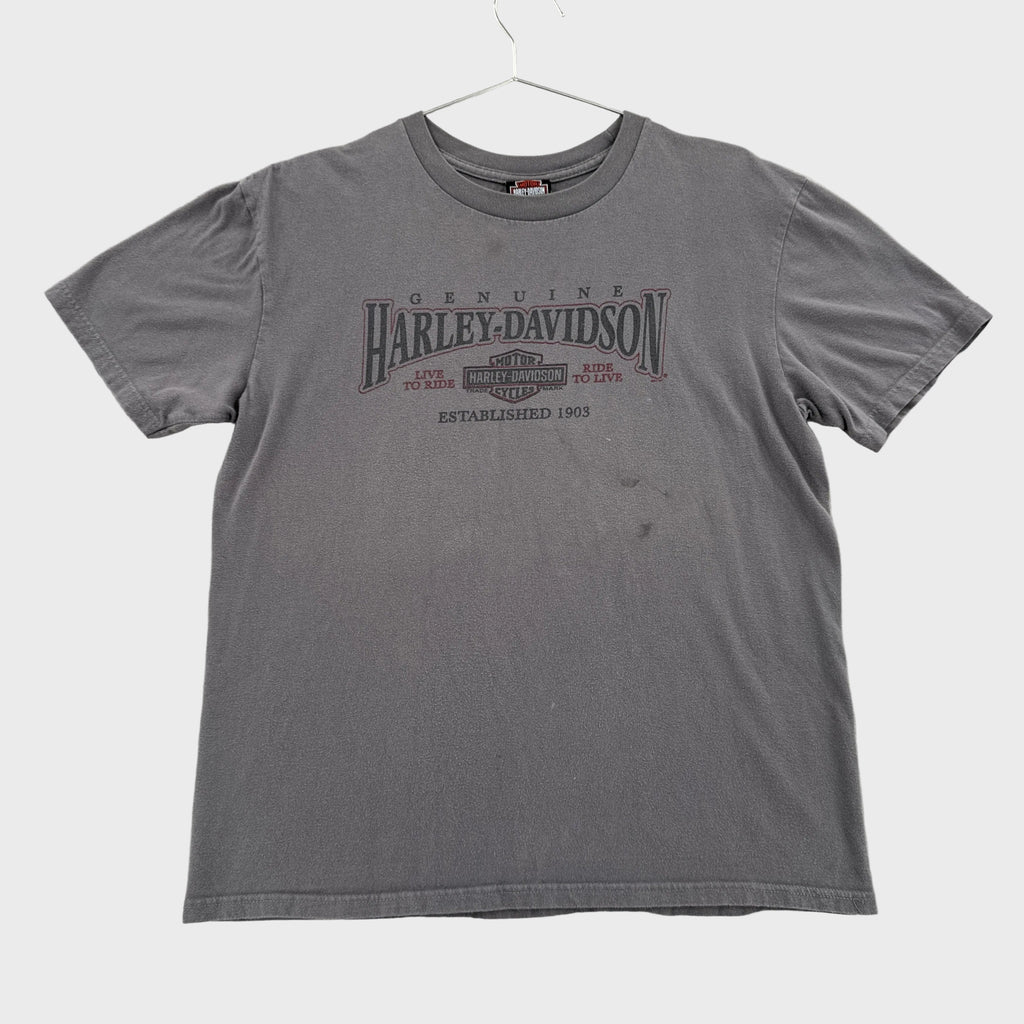 Vintage Harley Davidson Flint Michigan Graphic Tee 