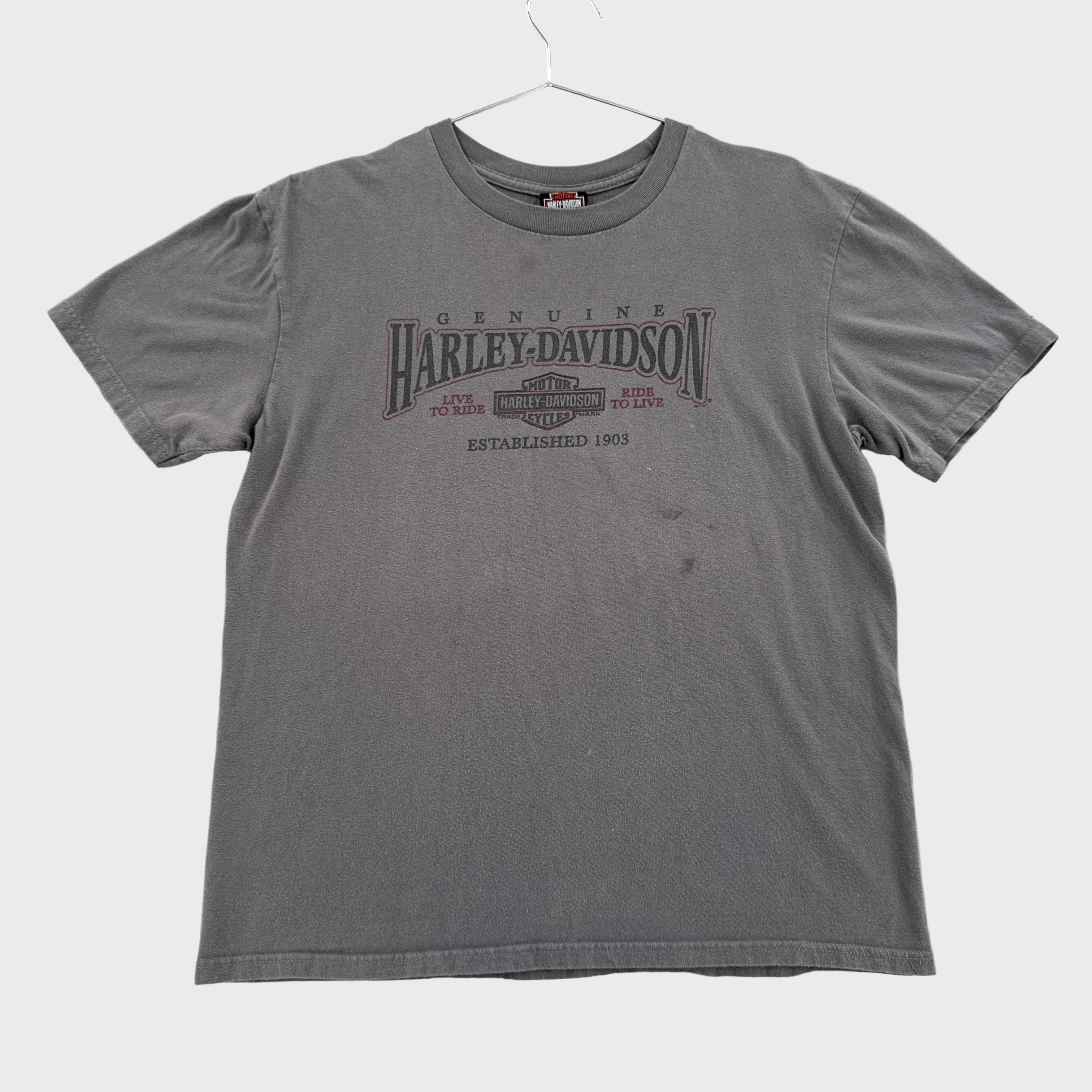 Vintage Harley Davidson Flint Michigan Graphic Tee 