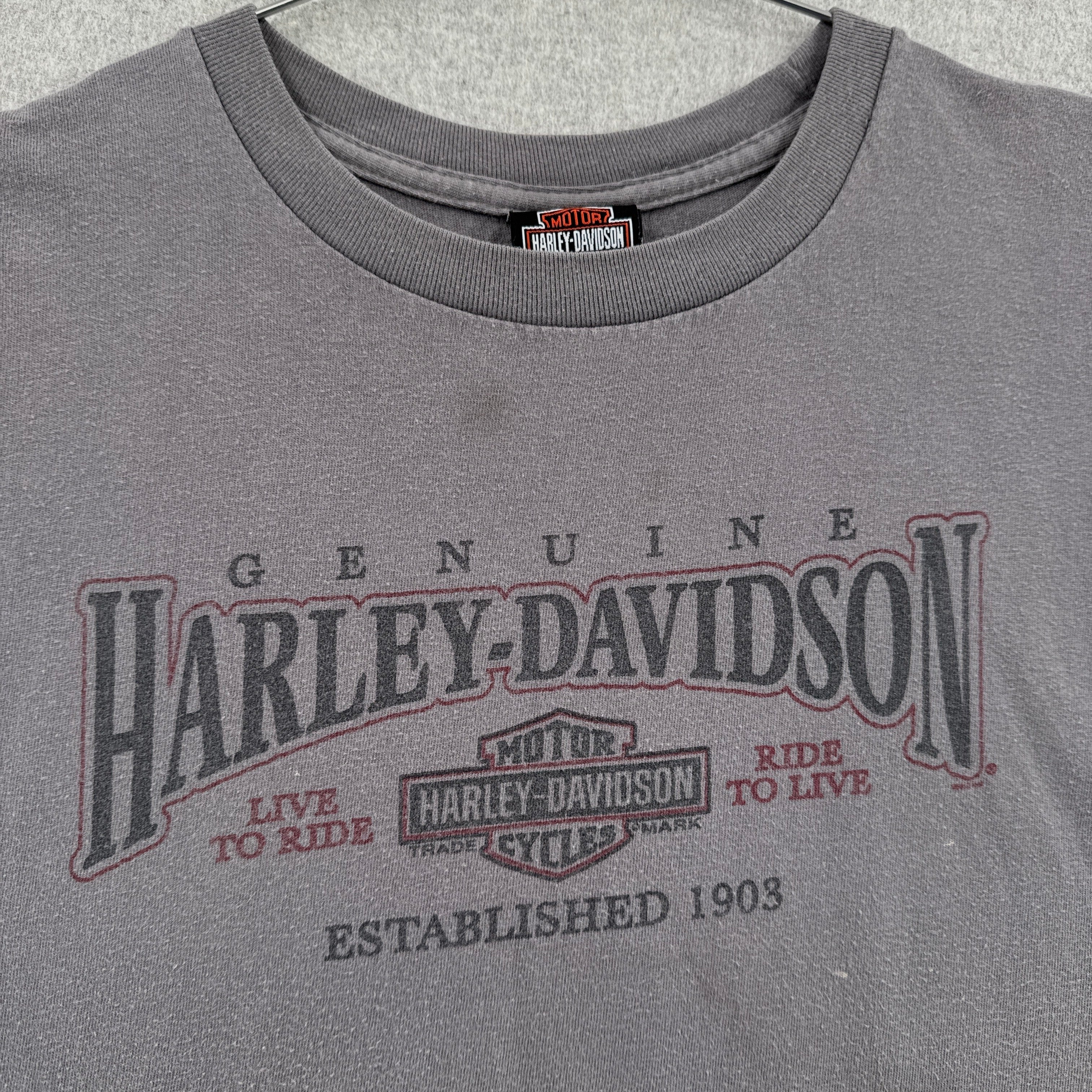 Vintage Harley Davidson Flint Michigan Graphic Tee 