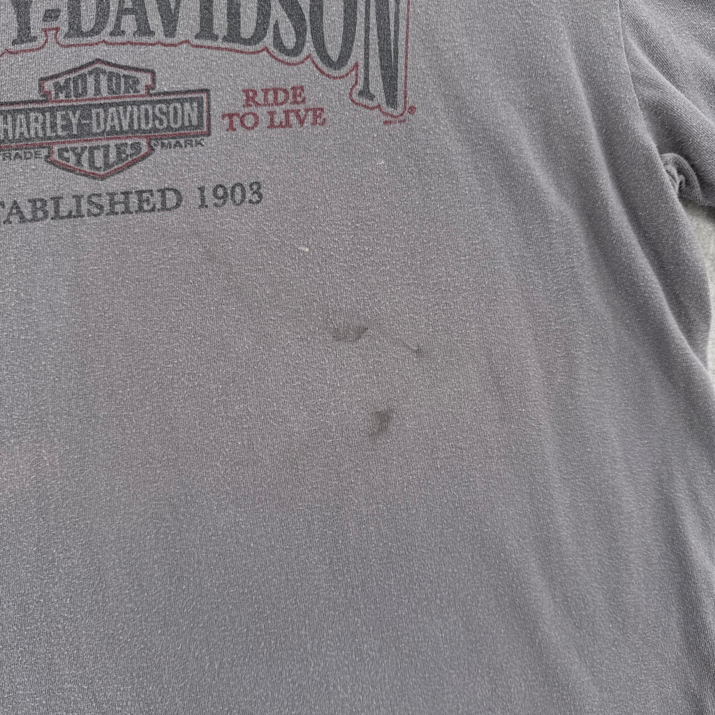 Vintage Harley Davidson Flint Michigan Graphic Tee 