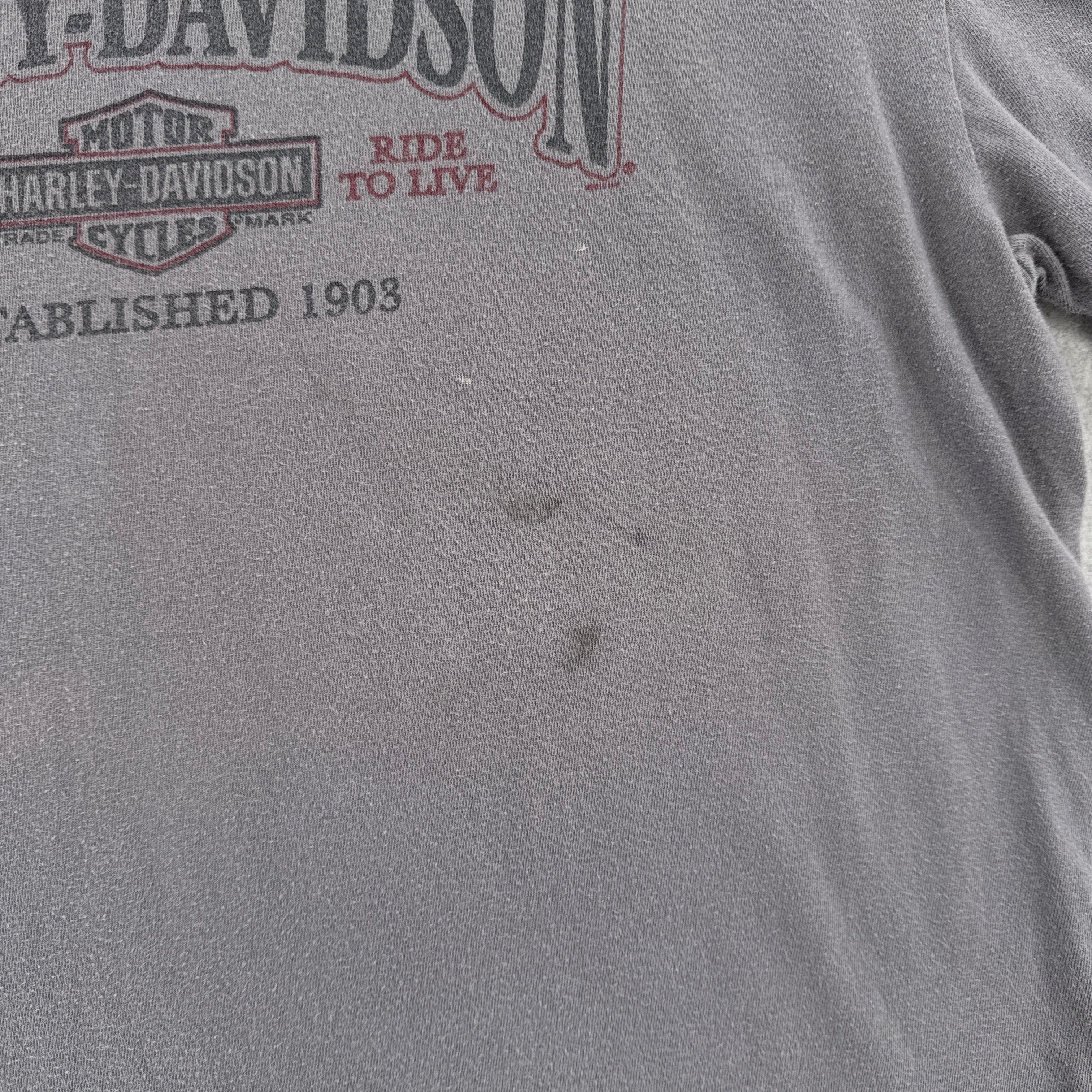Vintage Harley Davidson Flint Michigan Graphic Tee 