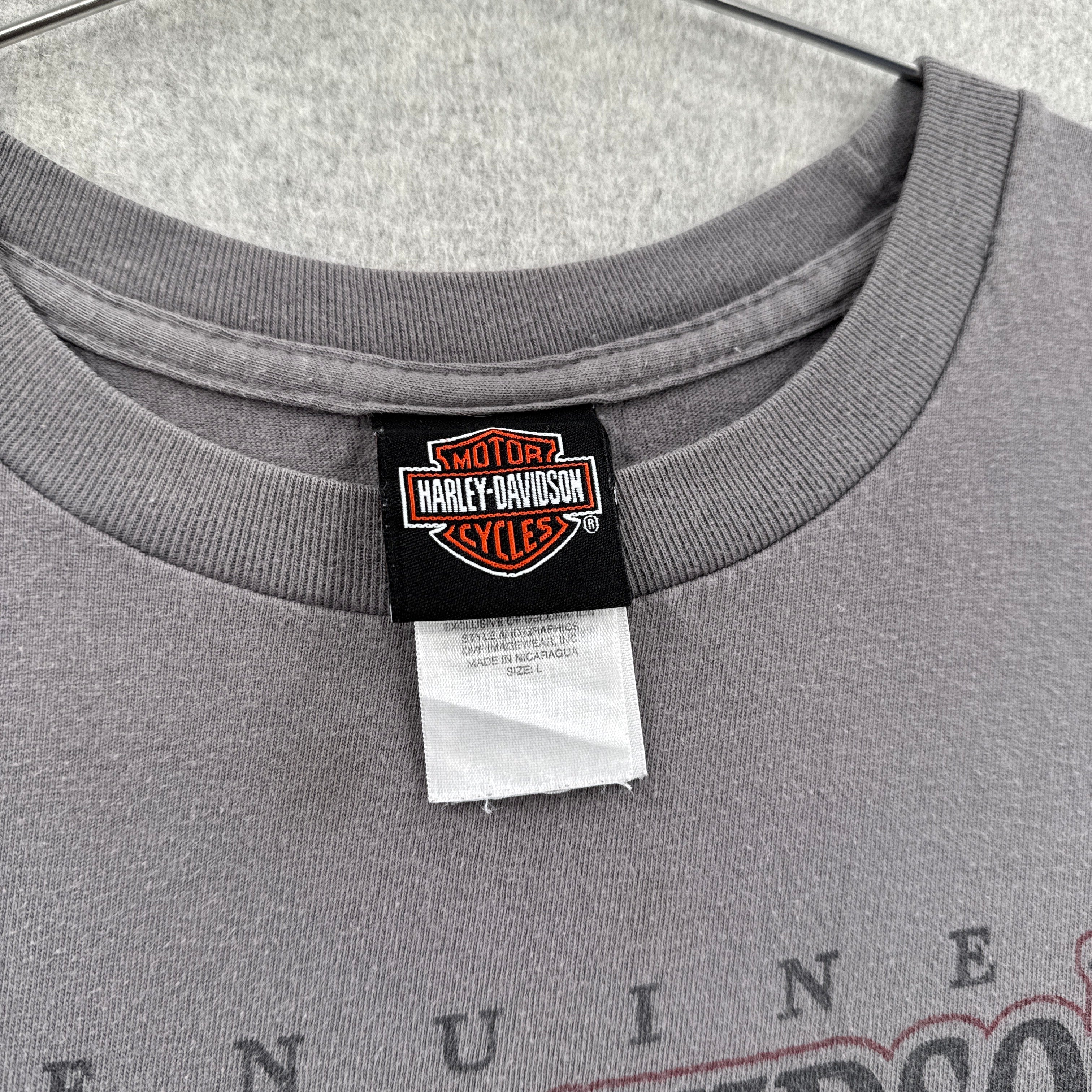 Vintage Harley Davidson Flint Michigan Graphic Tee 