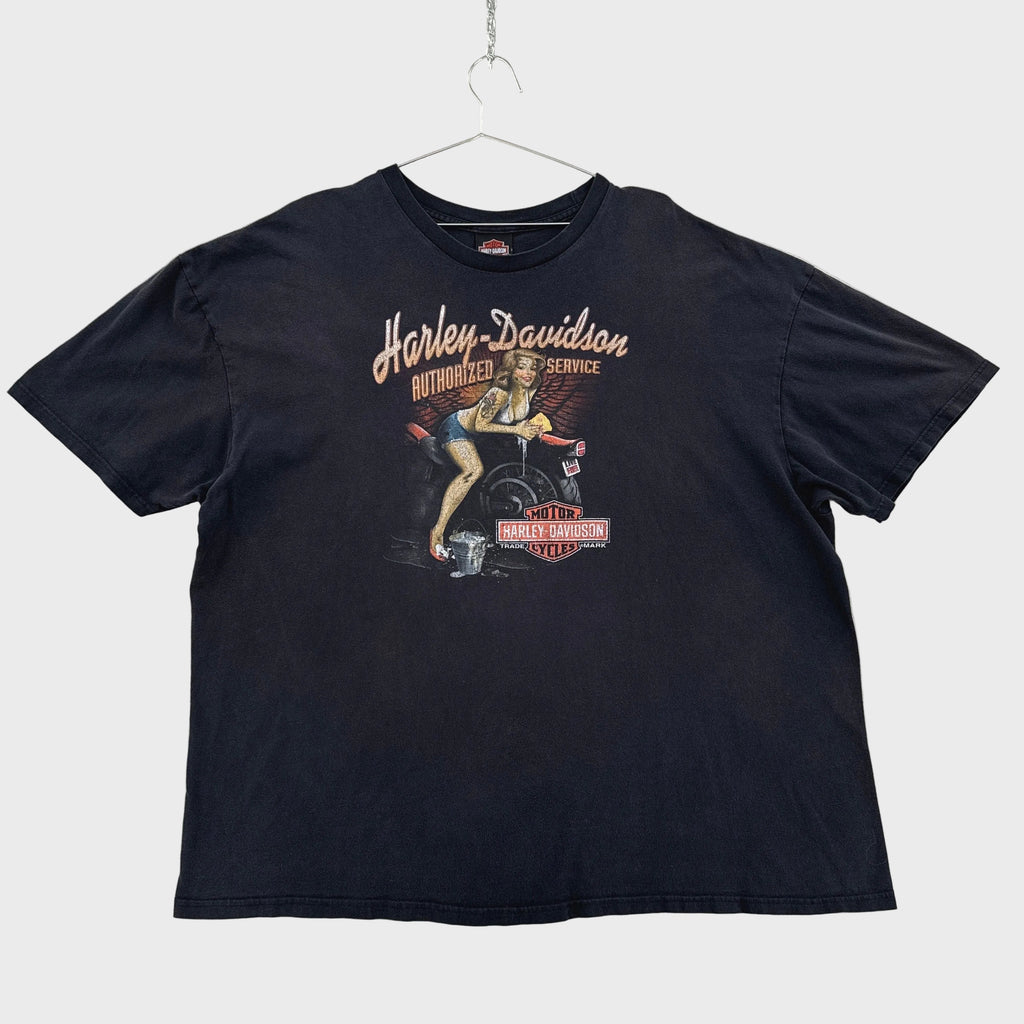 Vintage Harley Davidson Huntsville Alaska 