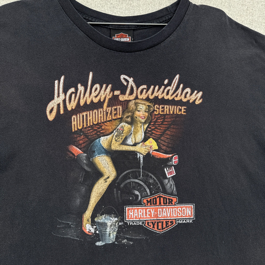 Vintage Harley Davidson Huntsville Alaska 