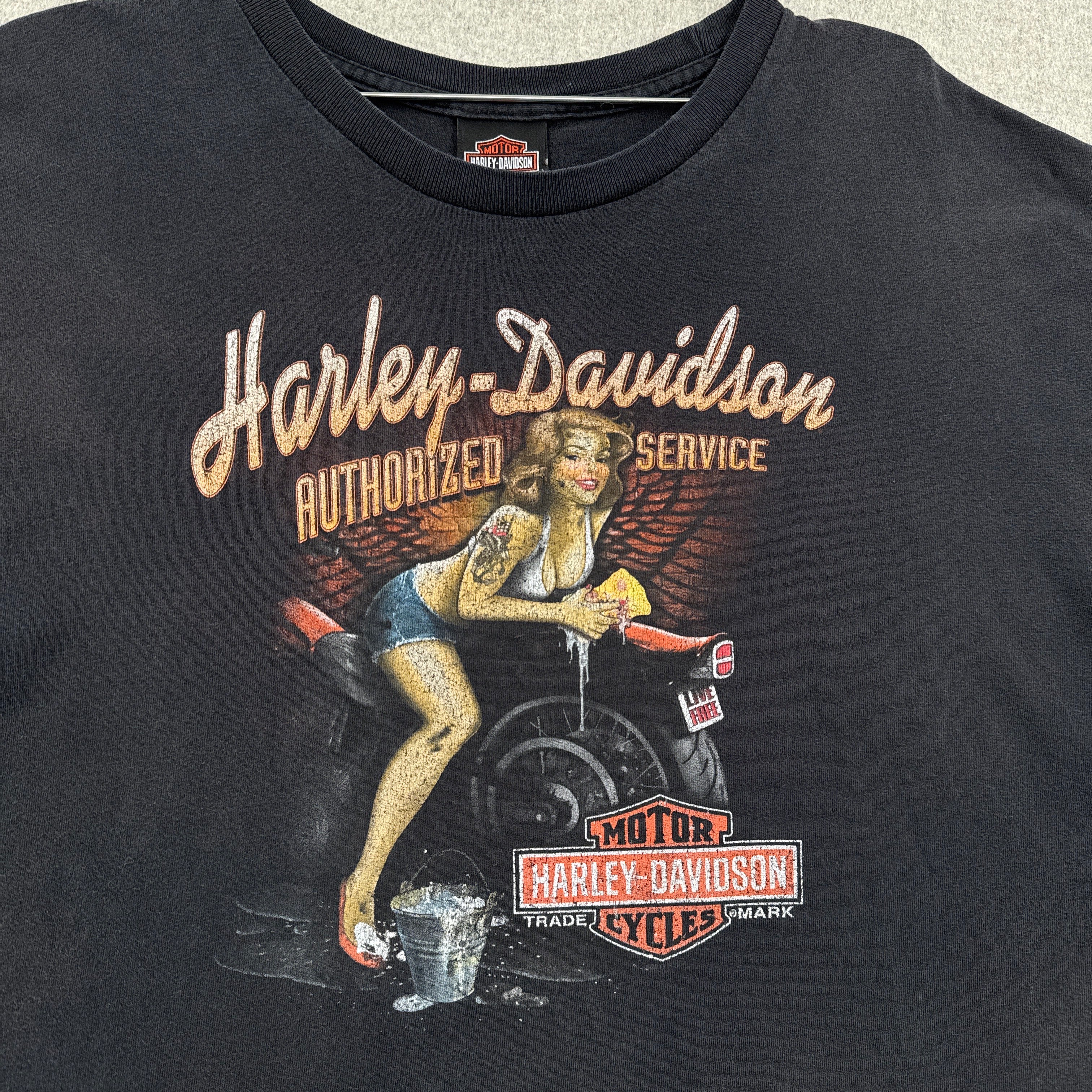 Vintage Harley Davidson Huntsville Alaska 