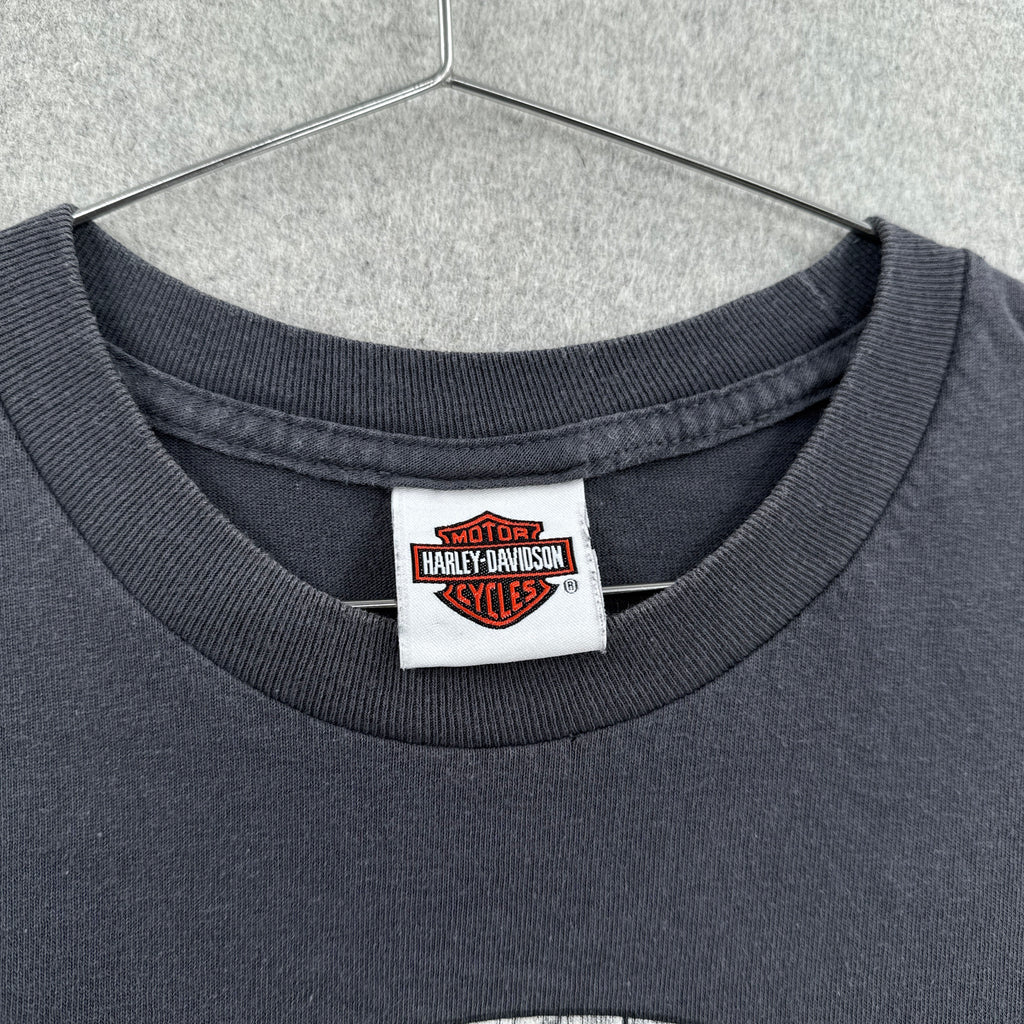 Vintage Harley Davidson Mexico Graphic Tee 
