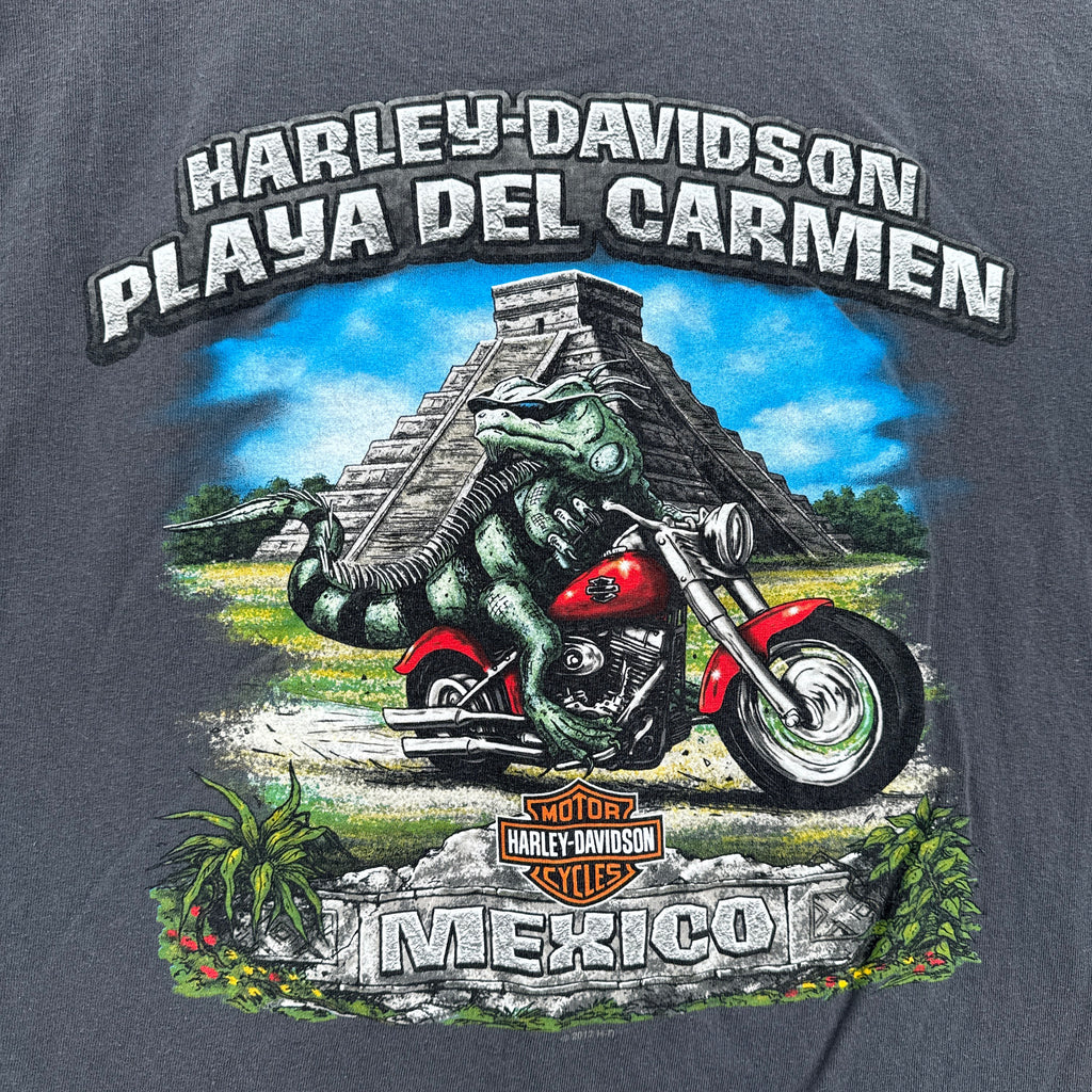 Vintage Harley Davidson Mexico Graphic Tee 