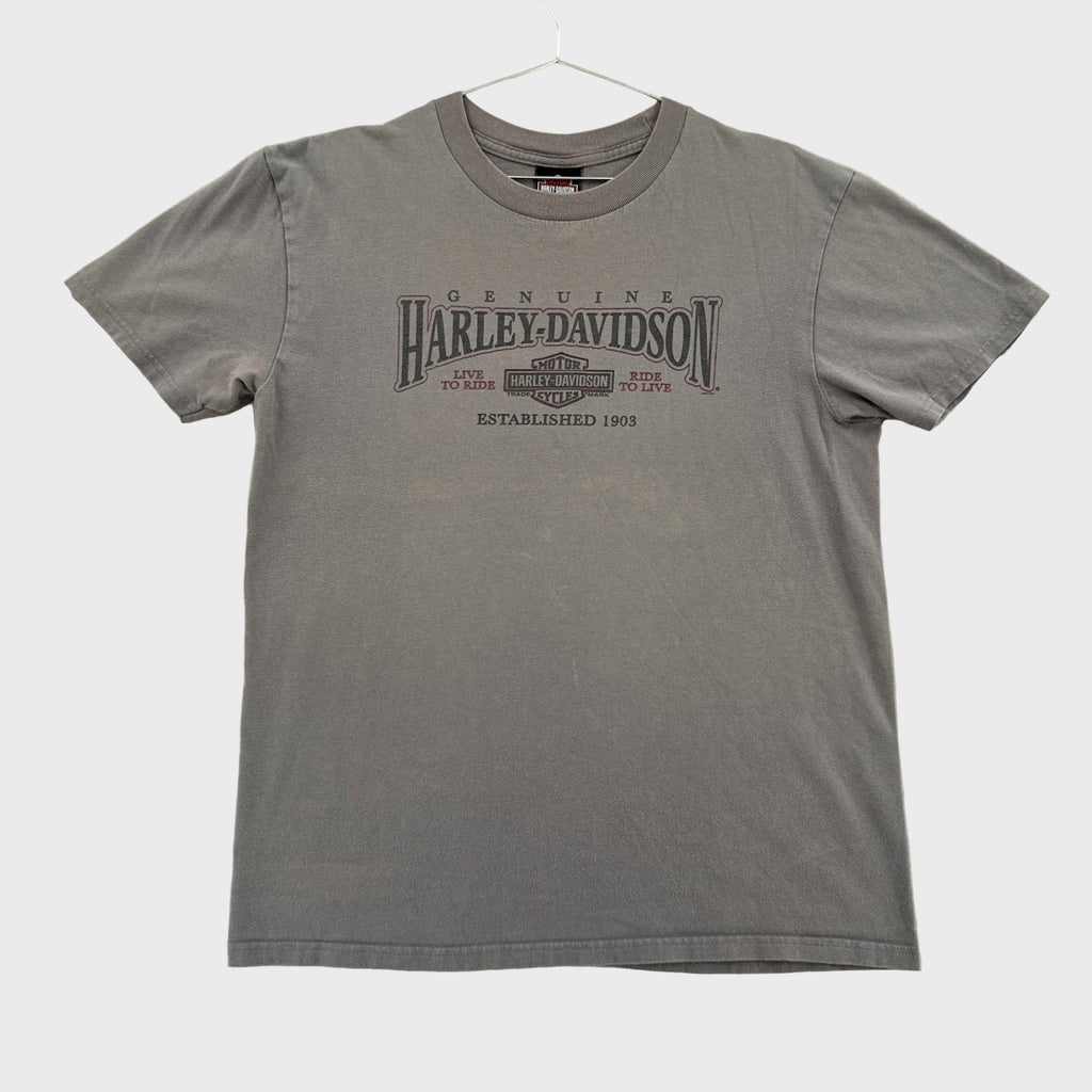 Vintage Harley Davidson Michigan Eagle Graphic Tee 