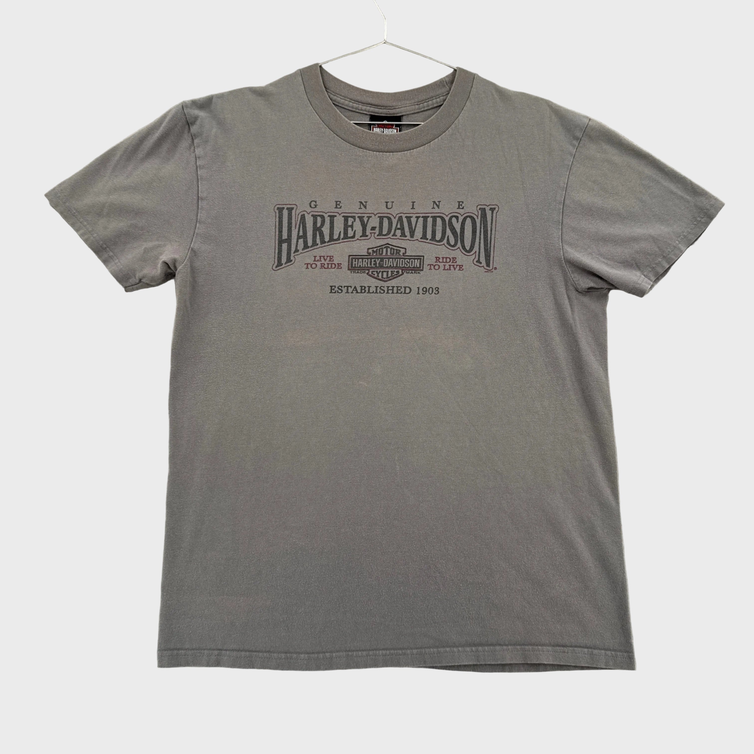 Vintage Harley Davidson Michigan Eagle Graphic Tee 