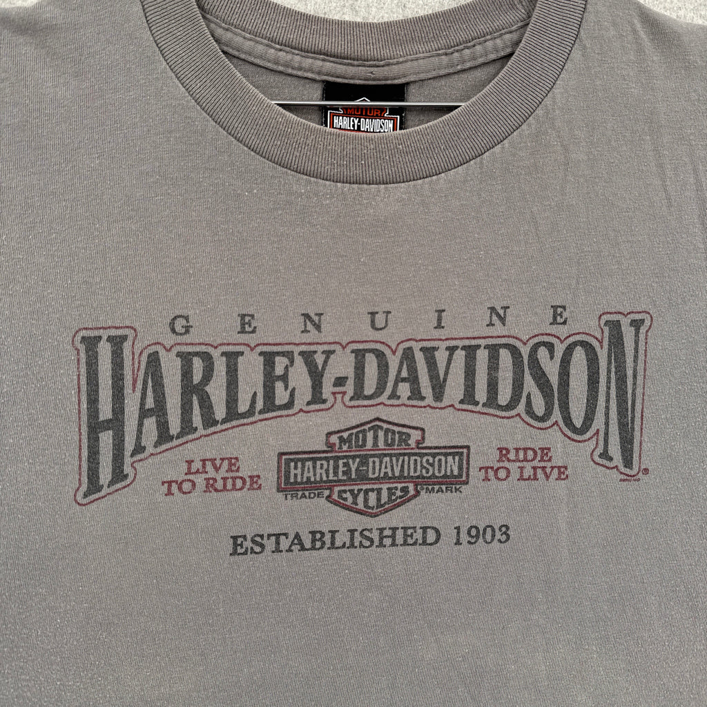 Vintage Harley Davidson Michigan Eagle Graphic Tee 
