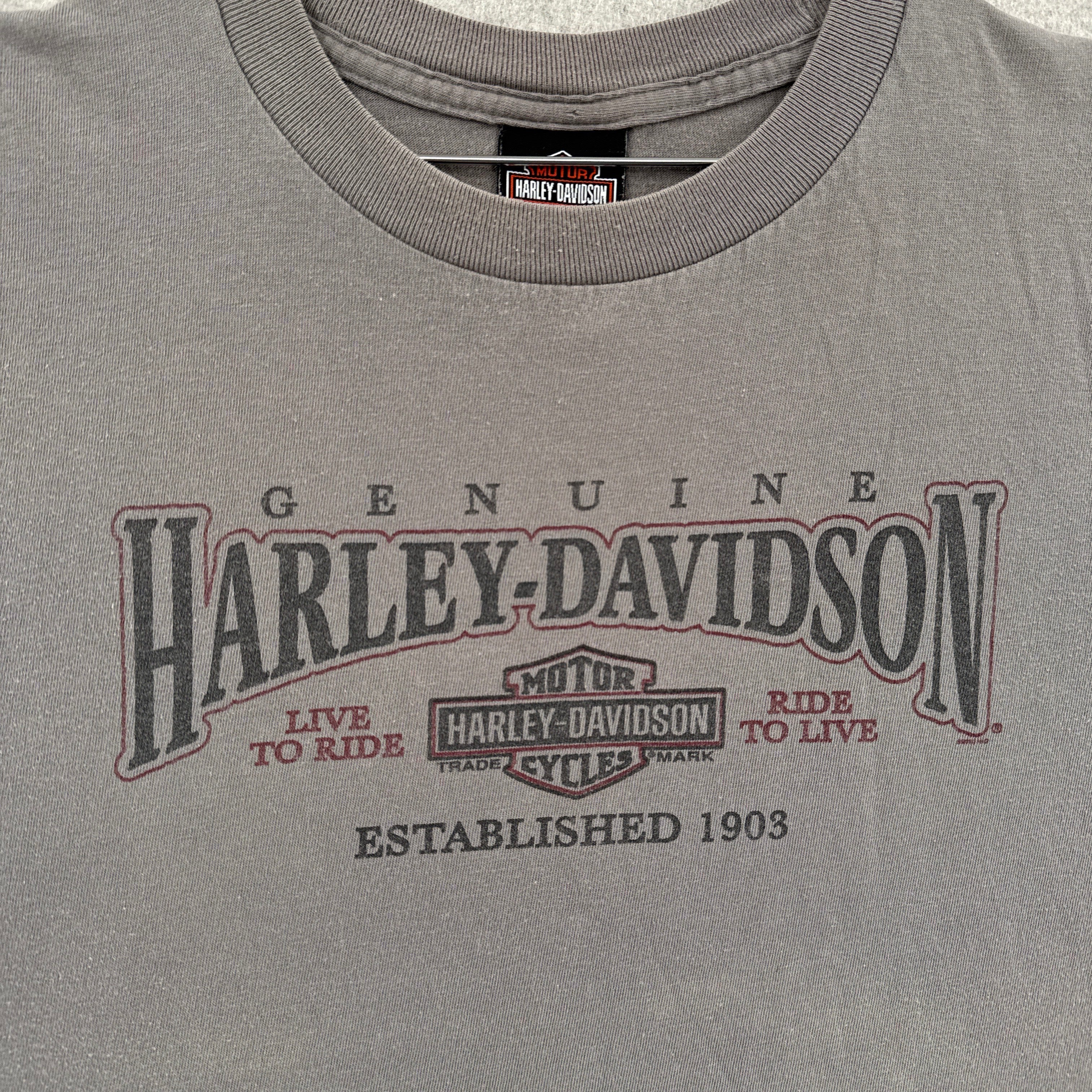 Vintage Harley Davidson Michigan Eagle Graphic Tee 