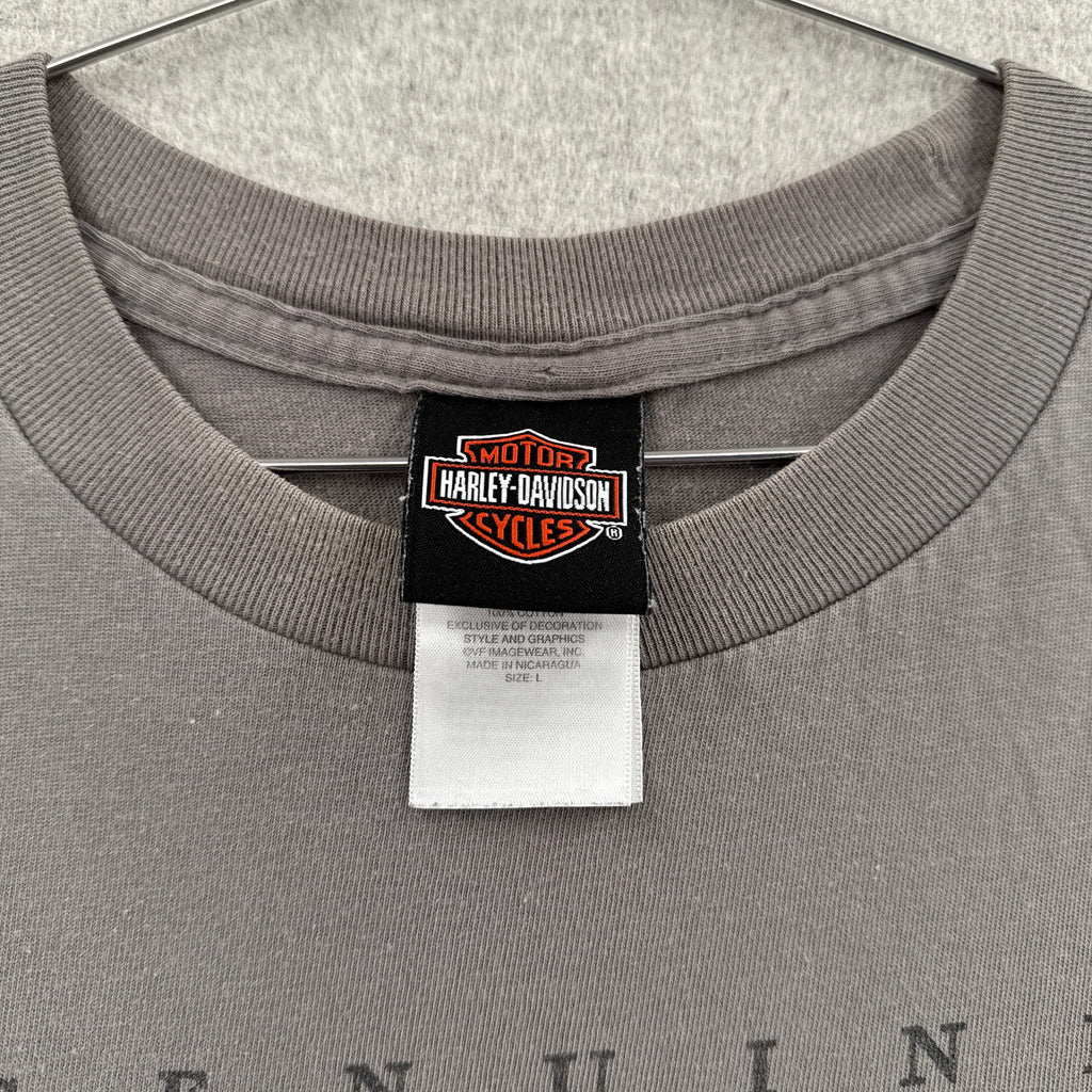 Vintage Harley Davidson Michigan Eagle Graphic Tee 