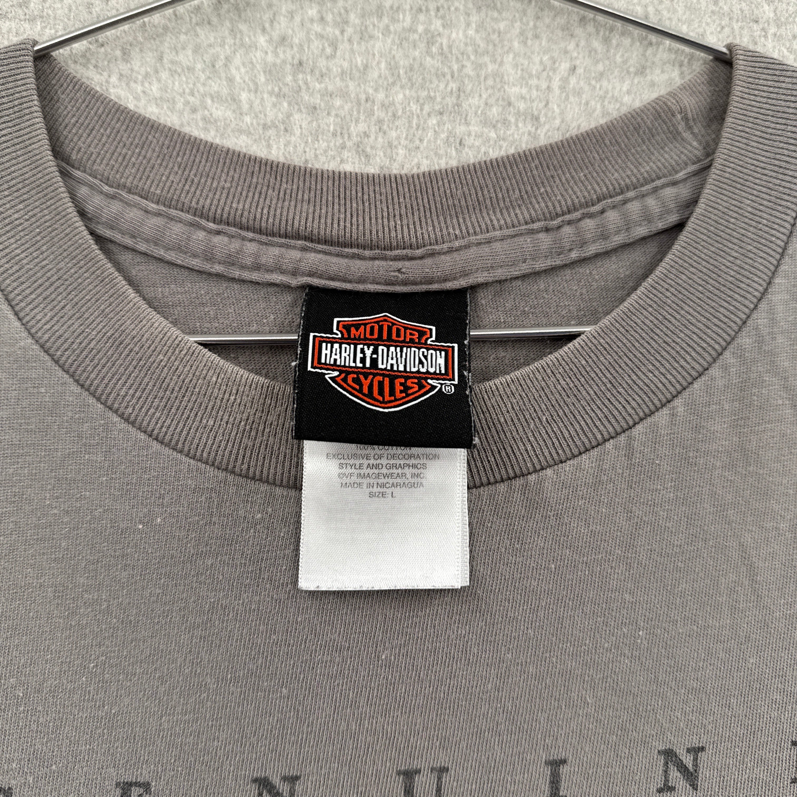 Vintage Harley Davidson Michigan Eagle Graphic Tee 