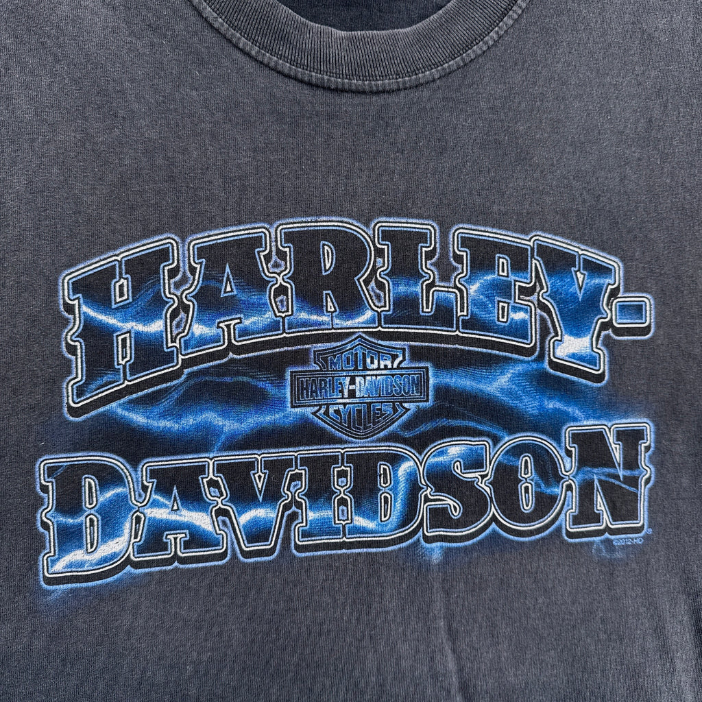 Harley-Davidson logo on a dark gray t-shirt with blue and white design.