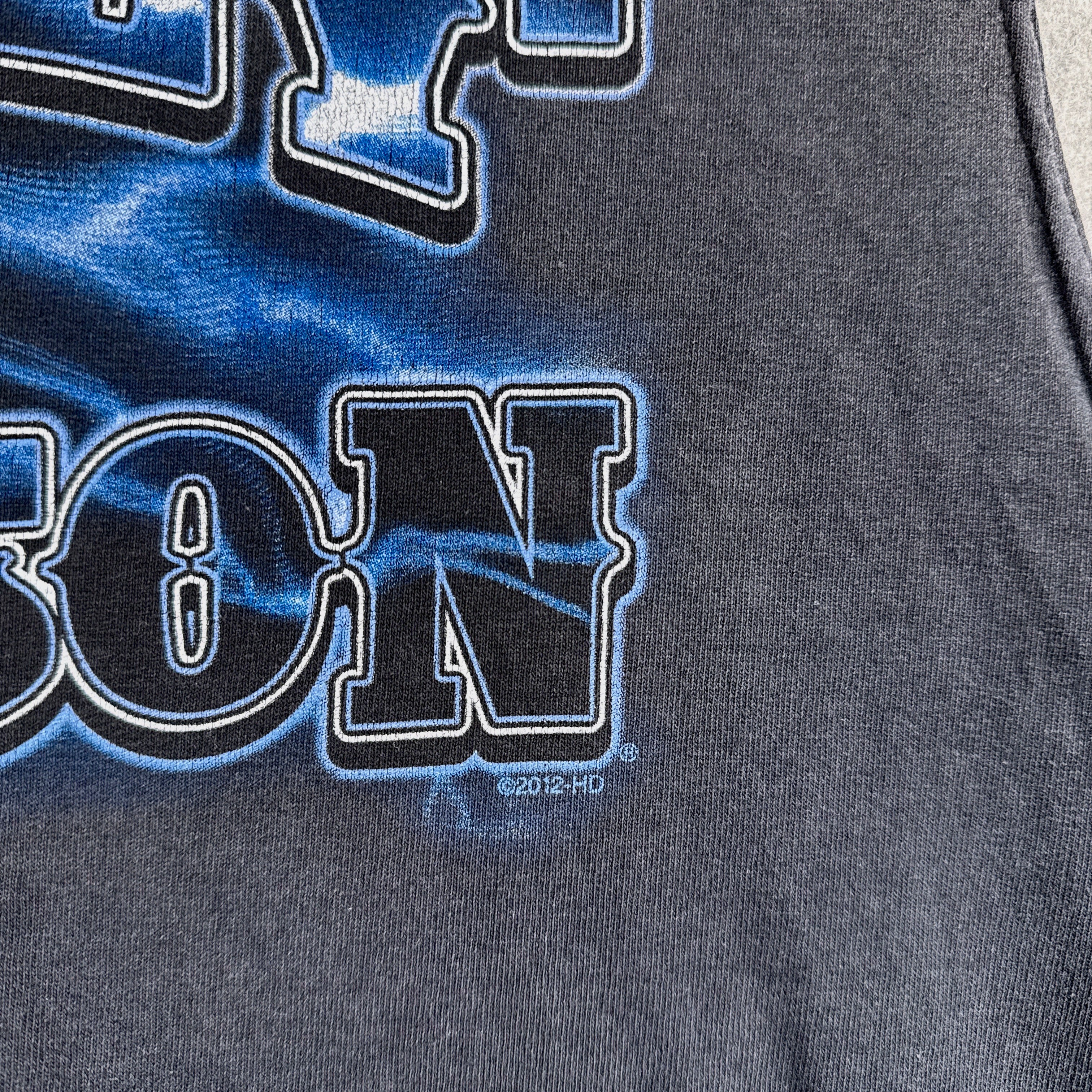 Gray sweatshirt with blue and white text and graphics on a gray background. 2012 date stamp