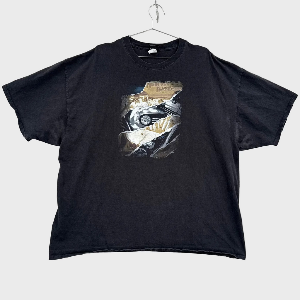 Vintage Harley Davidson Mt Rainier Seattle Shirt 