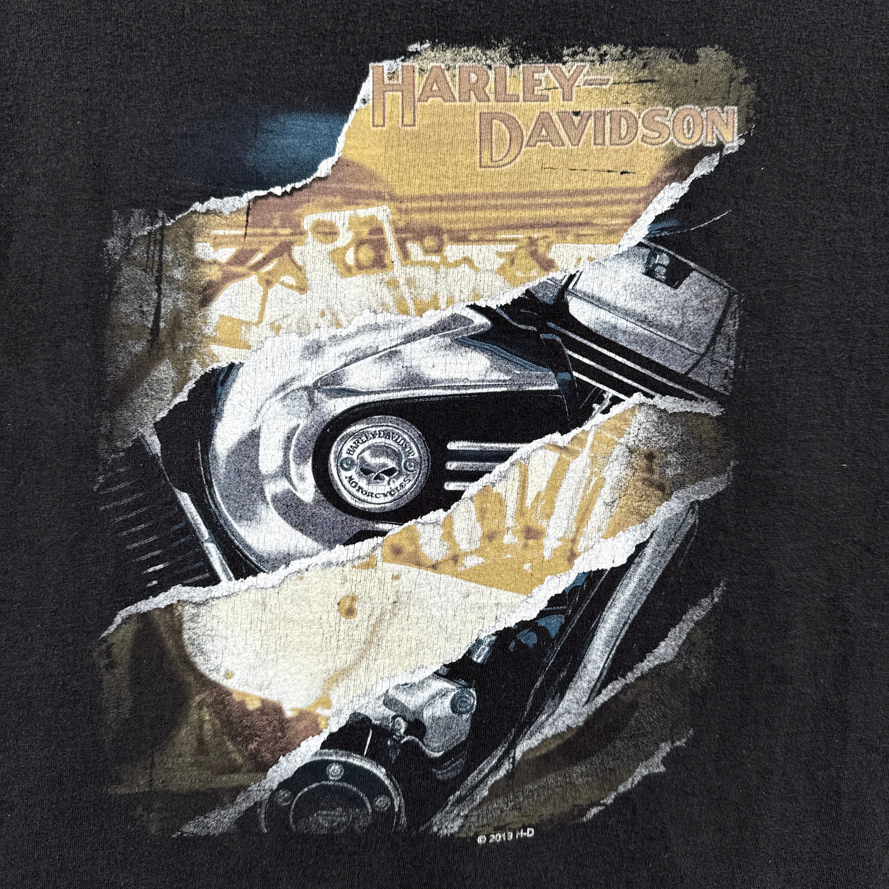 Vintage Harley Davidson Mt Rainier Seattle Shirt 