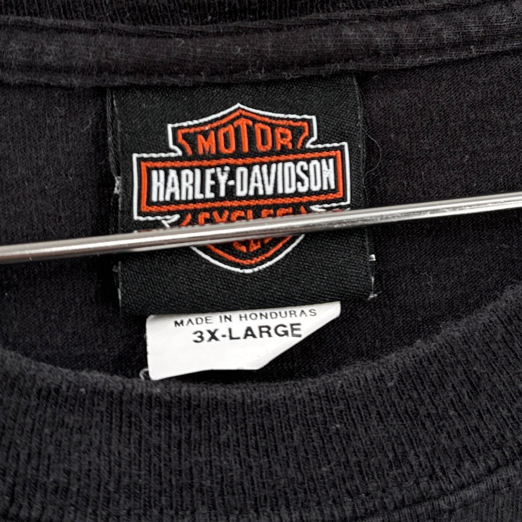 Vintage Harley Davidson Mt Rainier Seattle Shirt 