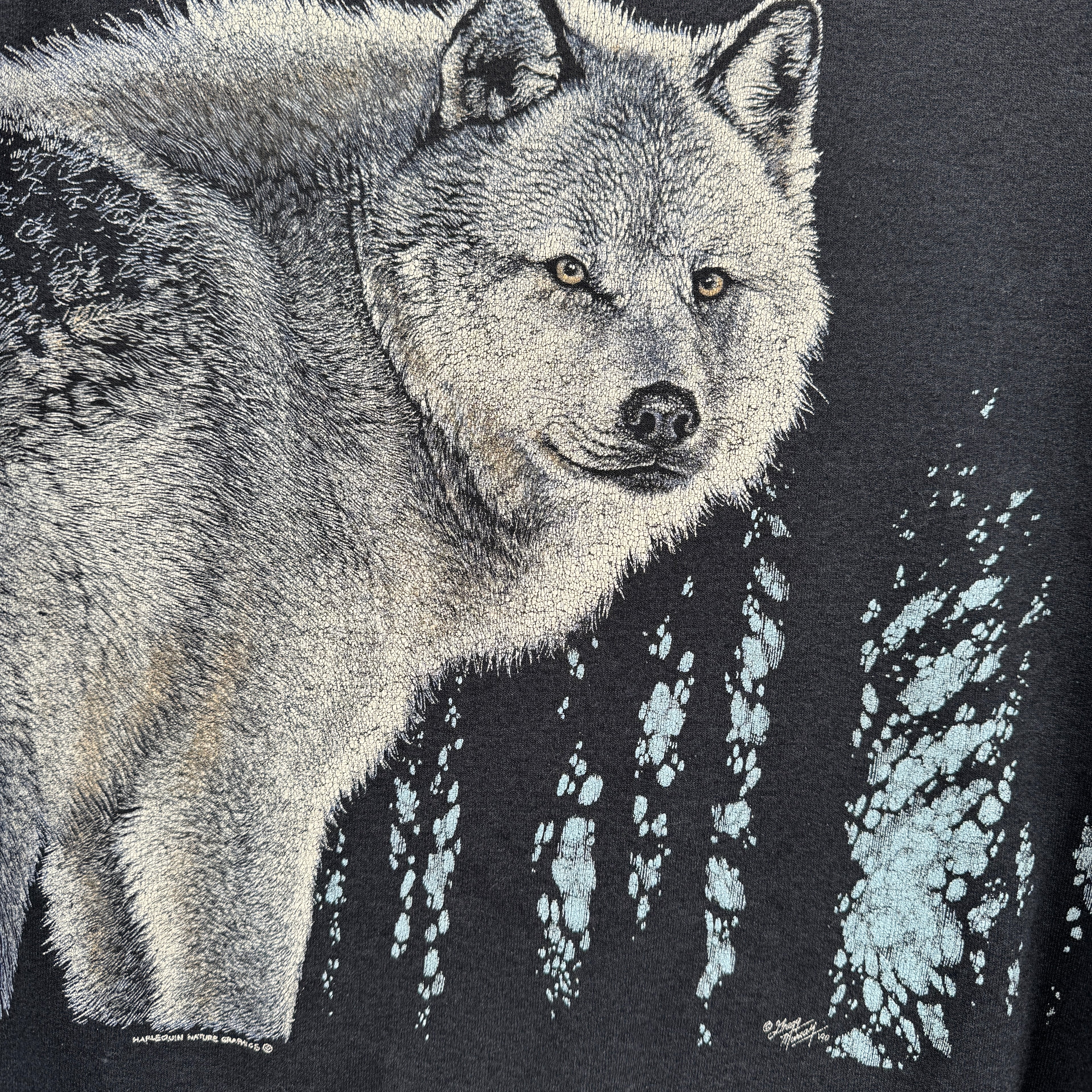 Gray wolf design on a black background